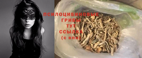 PSILOCYBIN Баксан