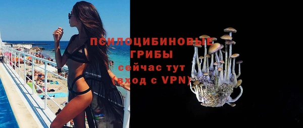 PSILOCYBIN Баксан