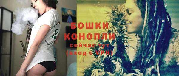PSILOCYBIN Баксан
