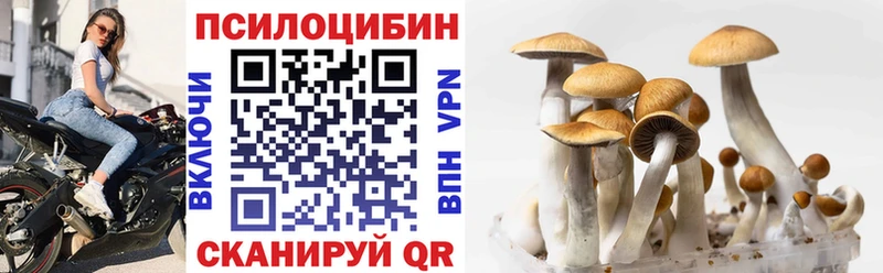Купить закладки  Кашира  Галлюциногенные грибы MAGIC MUSHROOMS 